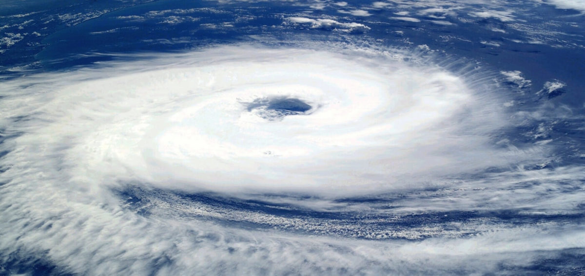 How to Keep Your Business Alive in the Face of a Natural Disaster